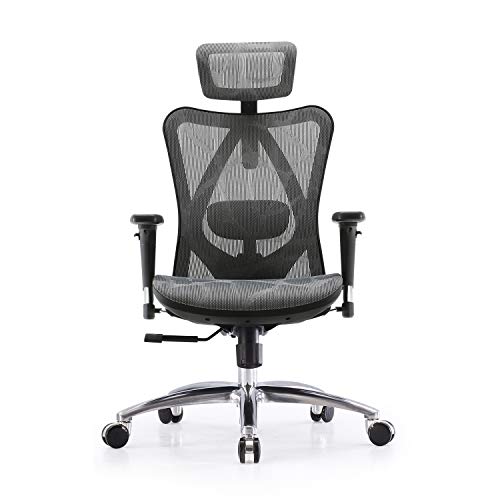 SIHOO, SIHOO Ergonomic Home Office Chair Adjustable Lumbar Support 3D Armrests Computer Desk Chair Skin-Friendly Mesh Executive High Back Chair(Grey)