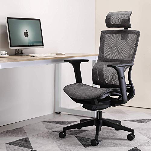SIHOO, SIHOO Ergonomic Home Office Chair, High Back Mesh Desk Chair with Adjustable 3D Armrest and Unique Elastic Lumbar Support Executive