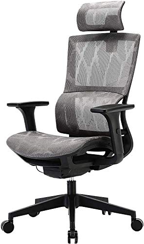 SIHOO, SIHOO Ergonomic Home Office Chair, High Back Mesh Desk Chair with Adjustable 3D Armrest and Unique Elastic Lumbar Support Executive
