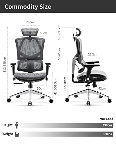 SIHOO, SIHOO Ergonomic Office Chair, Computer Desk Chair Breathable Mesh High Back with Adjustable Backrest Height, 3D Arms, Headrest Grey