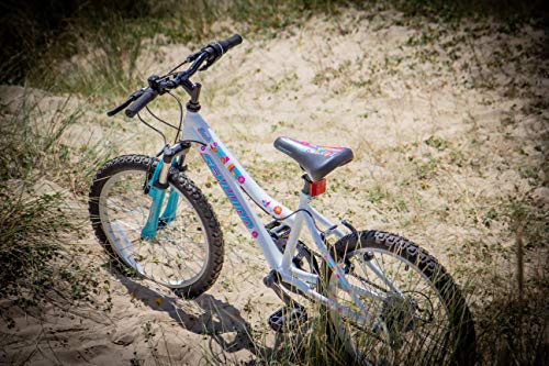 Schwinn, Schwinn Shade 20 inch Wheel Girls Front Suspension Bike, 6 Speed, White with Kids Flower Design (Age 5 to 8 years)