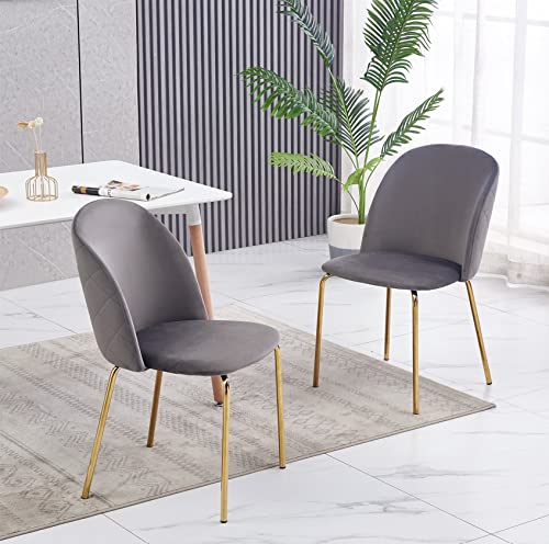mcc direct, Set of 2 Velvet Dining Chairs with Golden Finish Metal Legs Living Room Chair Dale (Grey)