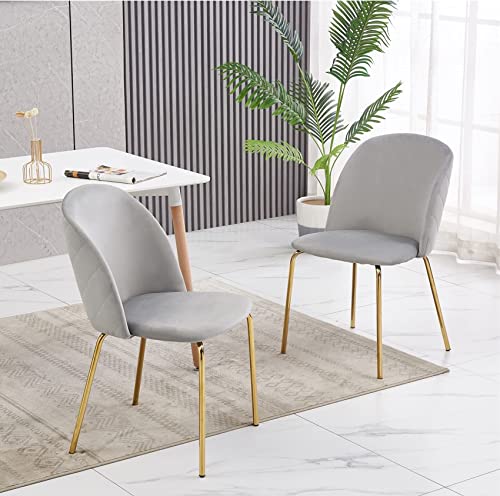 mcc direct, Set of 2 Velvet Dining Chairs with Golden Finish Metal Legs Living Room Chair Dale (Light Grey)