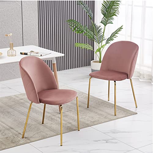 mcc direct, Set of 2 Velvet Dining Chairs with Golden Finish Metal Legs Living Room Chair Dale (Pink)