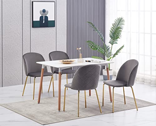 mcc direct, Set of 4 Velvet Dining Chairs with golden finish Metal Legs Living Room Chair Dale (Grey)
