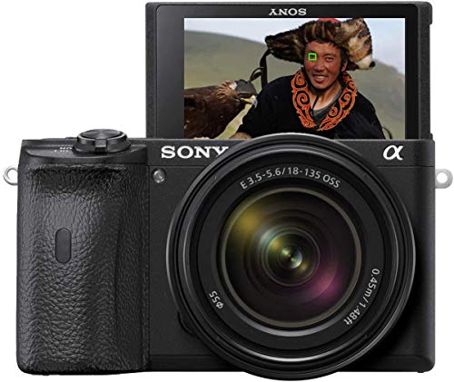 Sony, Sony Alpha 6600 | APS-C Mirrorless Camera with Sony 18-135mm f/3.5-5.6 Zoom Lens ( Fast 0.02s Autofocus, 5-axis in-body optical image