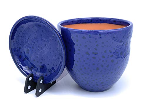 Sun Cakes, Sun Cakes Ceramic Plant Pot Glazed with Saucer Round Terracotta with Drip Tray Flower Pot Clay Coloured Flower Pot Gala (20cm x 17cm, Blue)