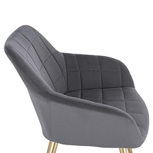 WOLTU, WOLTU 1 X Kitchen Dining chair Dark Grey/Golden with arms and backrest,Living Room chair chair for bedroom Velvet,BH232dgr-1