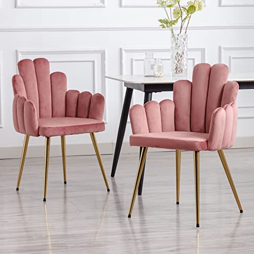 WAHSON OFFICE CHAIRS, Wahson Dining Chairs Set of 2 Upholstered Velvet Kitchen Side Chairs with Armrests Metal Legs,Corner Chairs for Living Room/Lounge, Pink