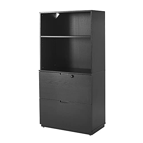 Panana, Wooden Lockable Office Filing Cabinet, 2 Drawer & 2 Layers of Shelves Storage Cupboard Unit Bookcase office home furniture